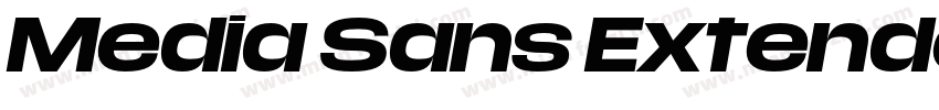Media Sans Extended Bold字体转换